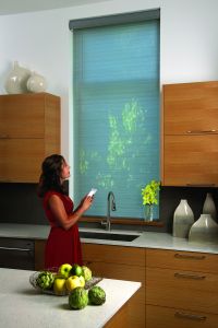 Motorized Roller Shades