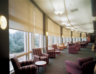 screen printed qmotion motorized roller shades