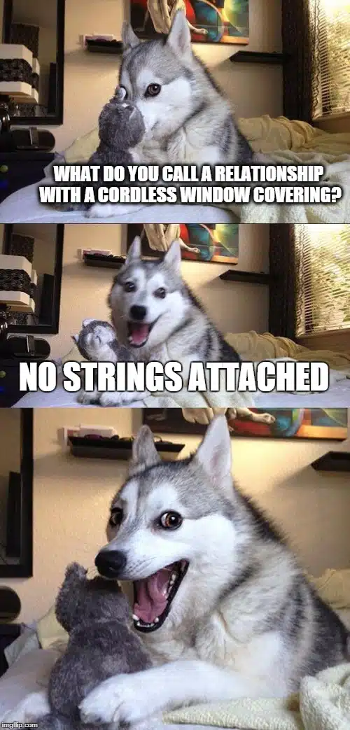 Husky Jokes