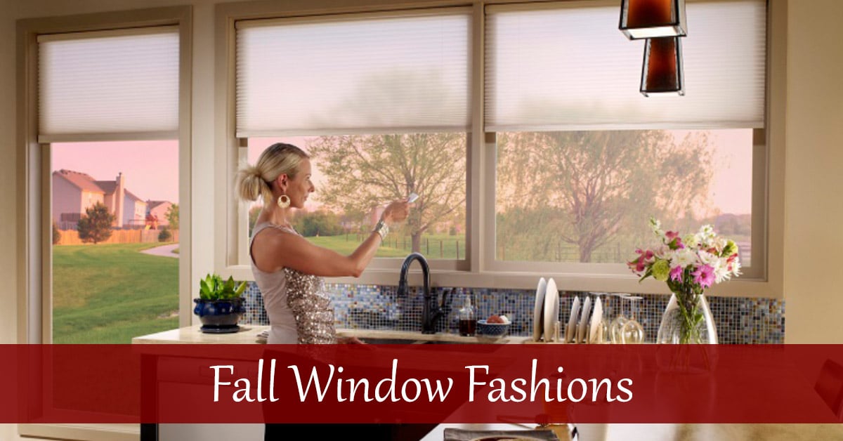 fall window fashion trends 2016