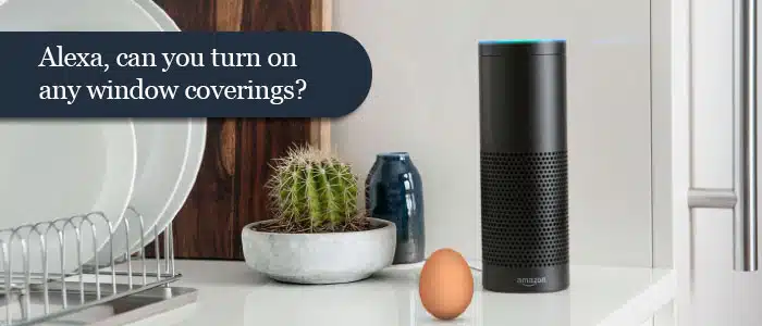alexa-can-you-turn-on-window-coverings