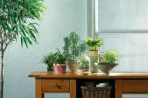 EnerLogic Low-E Window Film California EnerLogic Low-E Window Film California