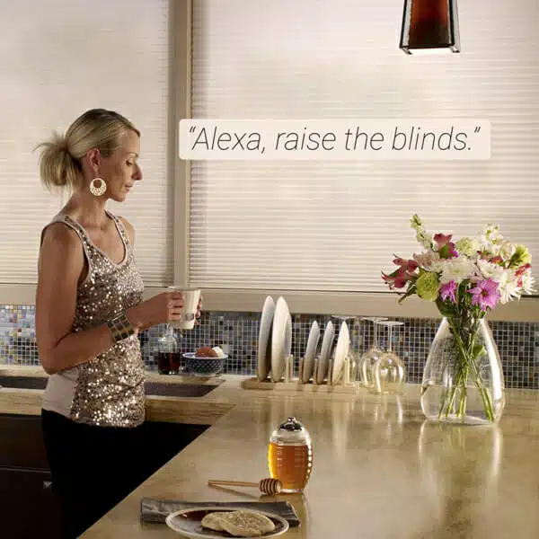 Alexa-Raise-the-Blinds-2
