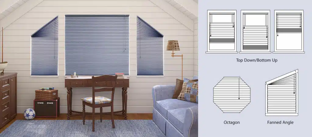 Seaside Collection Shapes & Sizes Seaside Collection Shapes & Sizes