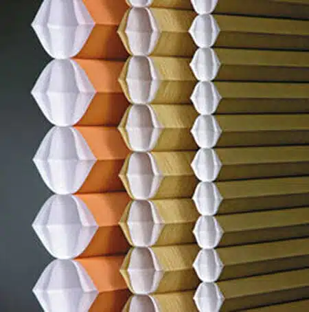 cell-in-a-cell cell-in-a-cell shades