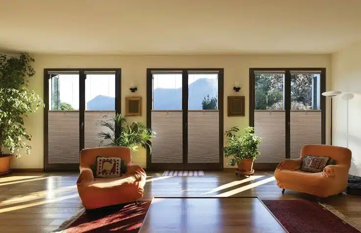 What Makes Cell-in-a-Cell So Special? What Makes Cell-in-a-Cell So Special?