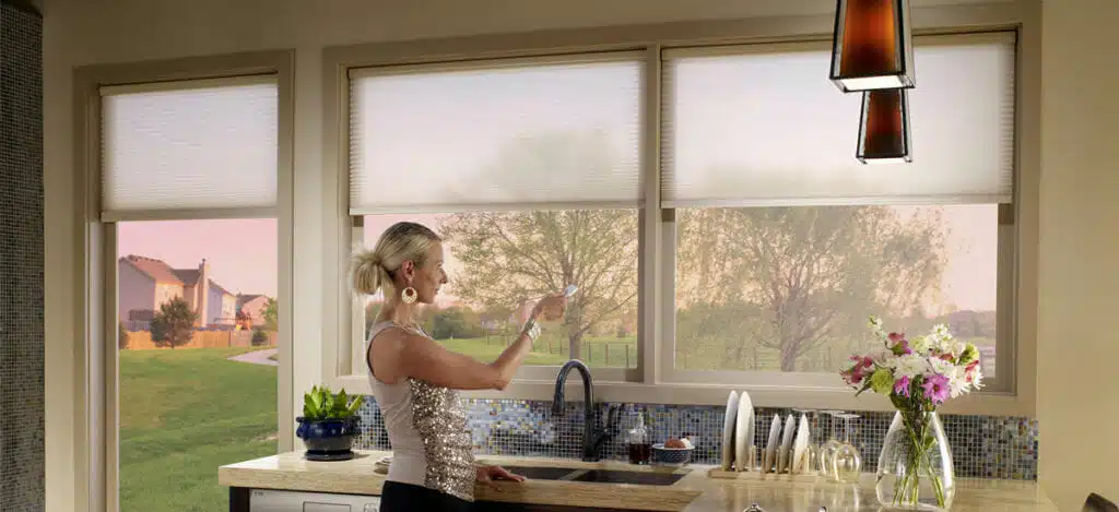 heatwave-4 Don’t want to spend time opening and closing the blinds?