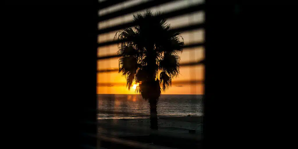 heatwave-6 4 – Cool Down At Night