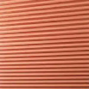 5 coral 2021 Trending Colors