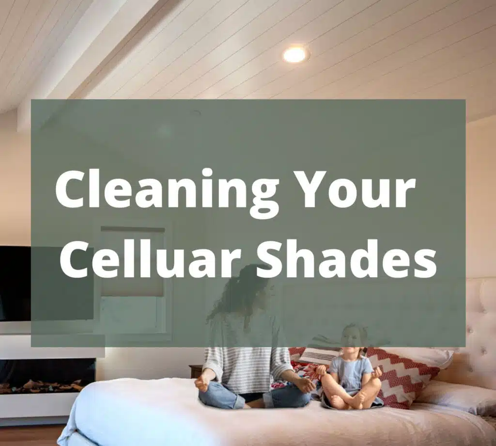 Untitled design (85)