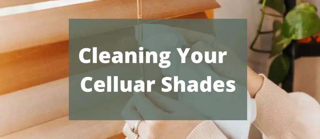 Untitled design - 2021-11-30T140437.780