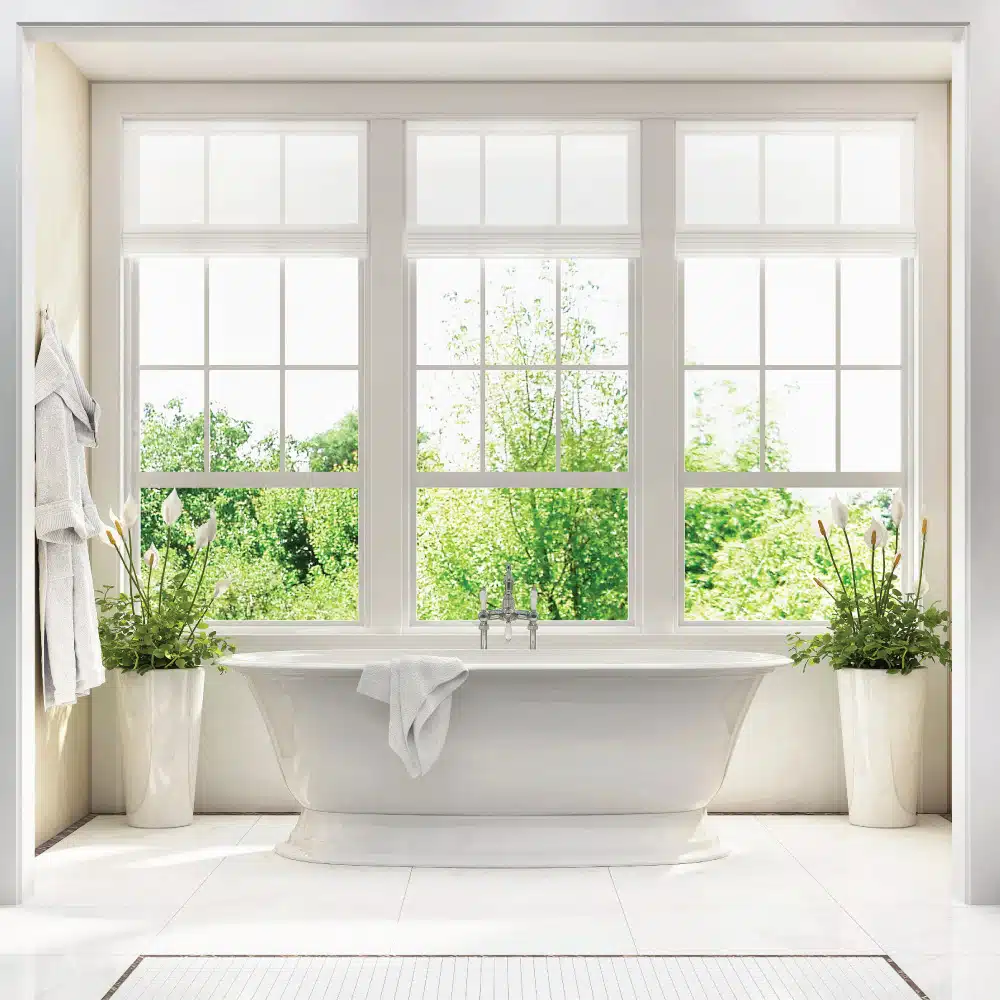 Bathroom with Big Windows with a View