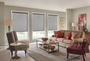 Energy Efficient Roller Shades