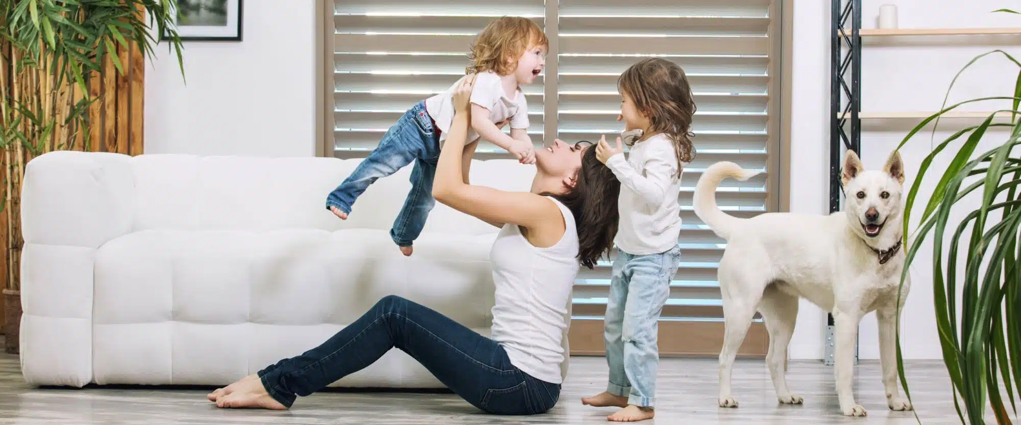 Child & Pet Safe Window Treatments Child & Pet Safe Window Treatments