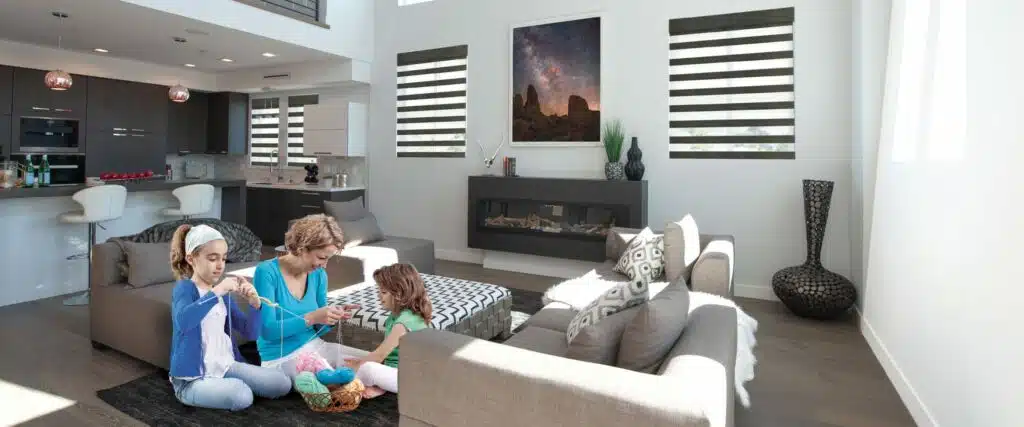 Sheer Shades in Living Room