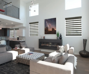 Sheer shading is one of the best treatment for the living room as it brings both style and privacy.