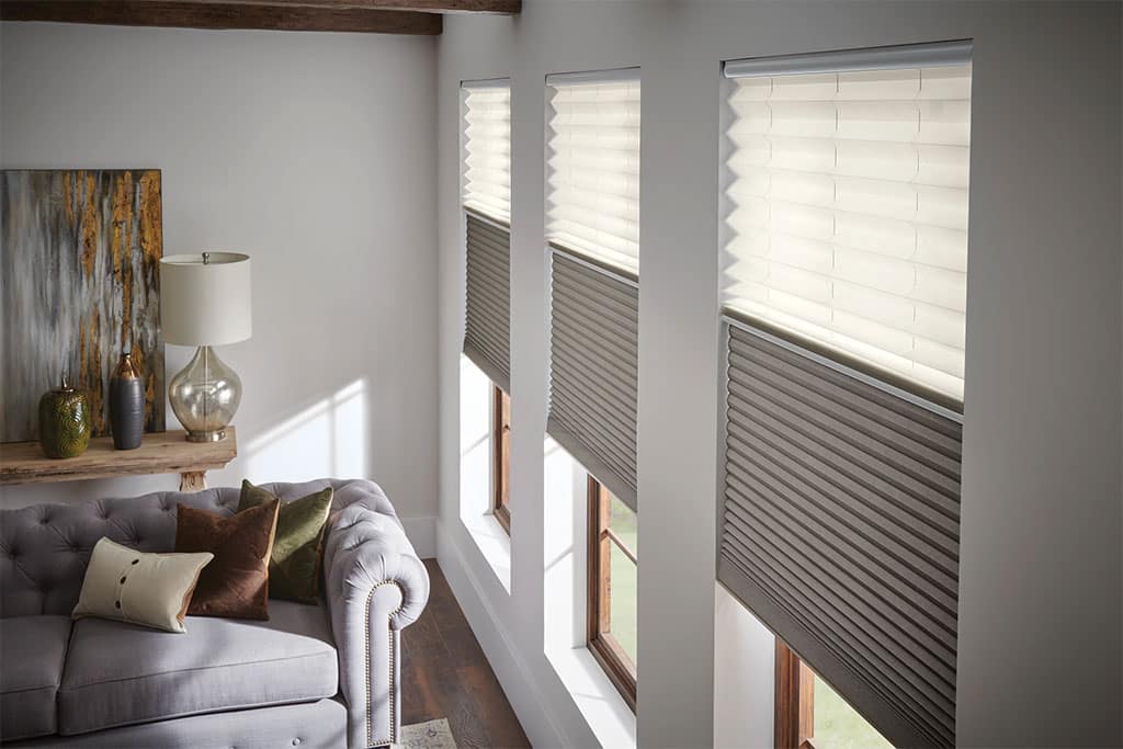 Living room with dual-function cellular shades on tall windows, featuring sheer light-filtering fabric on top and blackout fabric on bottom for versatile light control