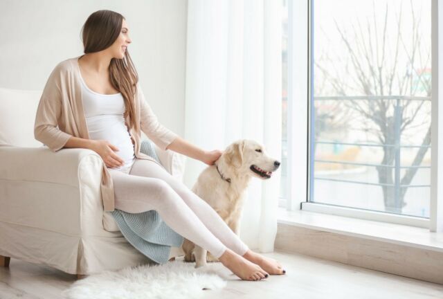 image of pregnant woman with dog looking at Window Cord Safety