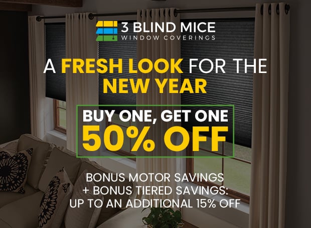 3BlindMice NewYear 620x456 copy 3 Blind Mice New Year promo: Buy One Get One 50% Off with bonus motor and tiered savings.
